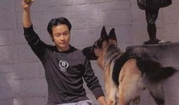 娱乐圈爆料流浪狗的小说,流浪狗的逆袭传奇