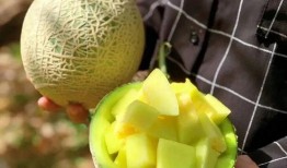 娱乐168吃瓜,揭秘娱乐圈最新吃瓜事件，带你领略明星幕后故事