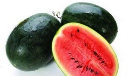 徐州网红吃瓜事件,一场网络舆论的风暴与反思