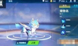 飞车手游最新爆料新宠物,个性养成等你来挑战