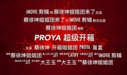 珀莱雅爆料新闻,揭秘品牌背后的故事与未来规划